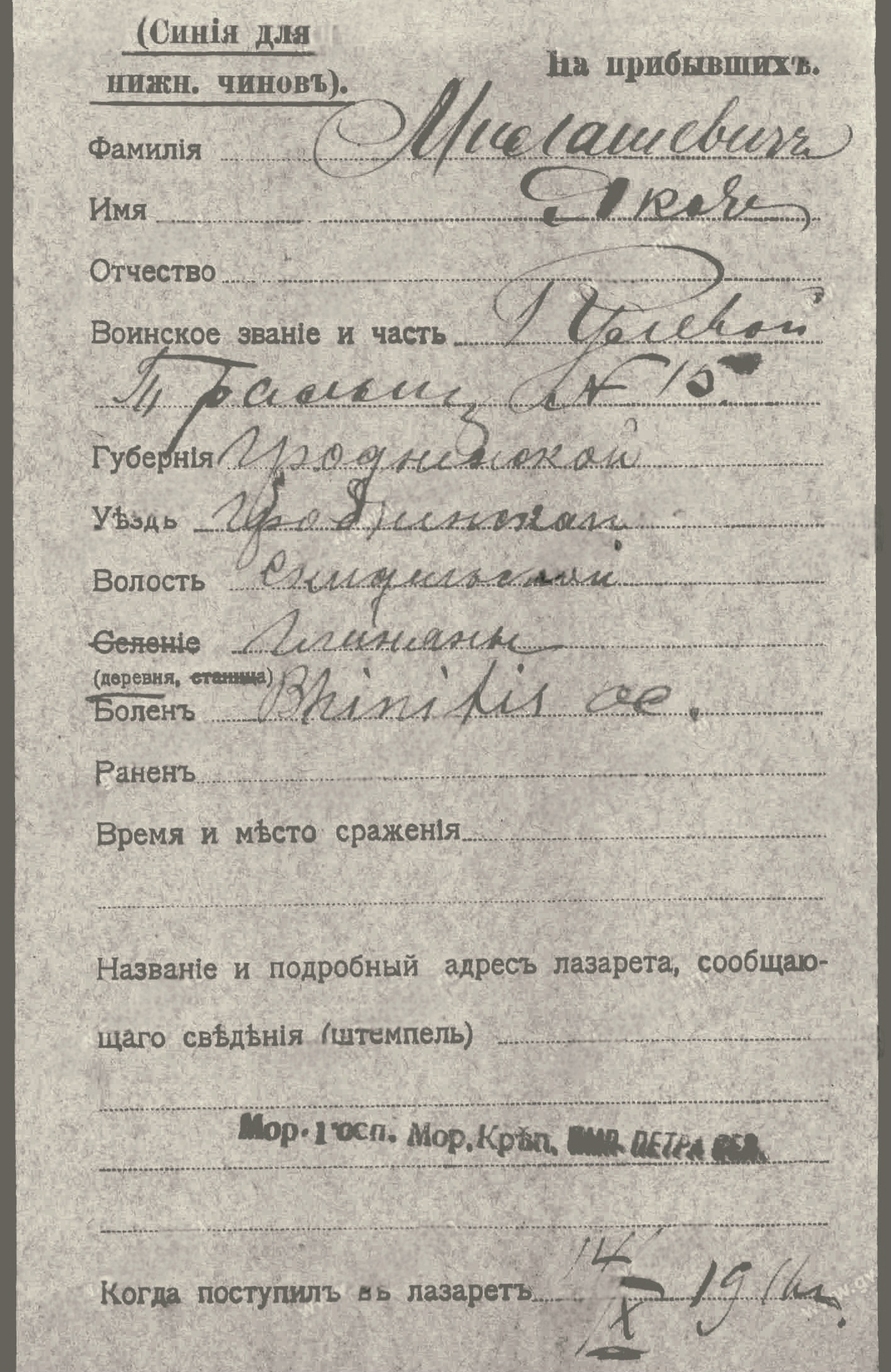 Апісанне